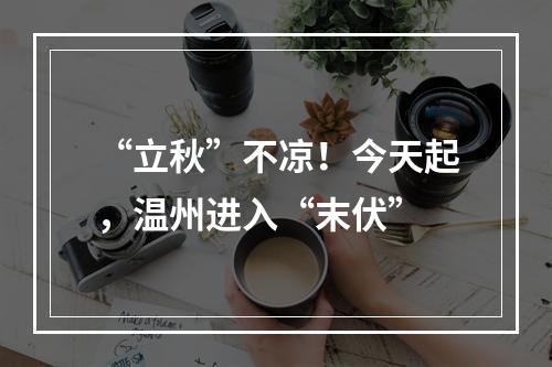 “立秋”不凉！今天起，温州进入“末伏”