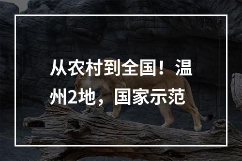 从农村到全国！温州2地，国家示范
