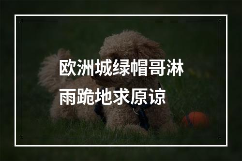 欧洲城绿帽哥淋雨跪地求原谅