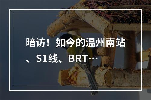 暗访！如今的温州南站、S1线、BRT…