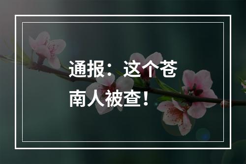 通报：这个苍南人被查！