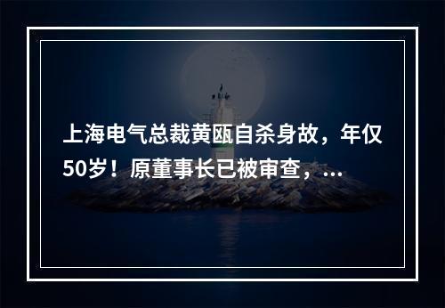 上海电气总裁黄瓯自杀身故，年仅50岁！原董事长已被审查，80多亿财务黑洞！ ...