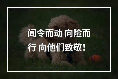 闻令而动 向险而行 向他们致敬！