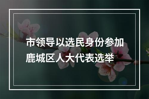 市领导以选民身份参加鹿城区人大代表选举