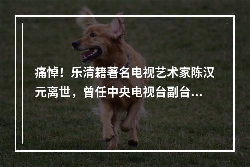 痛悼！乐清籍著名电视艺术家陈汉元离世，曾任中央电视台副台长