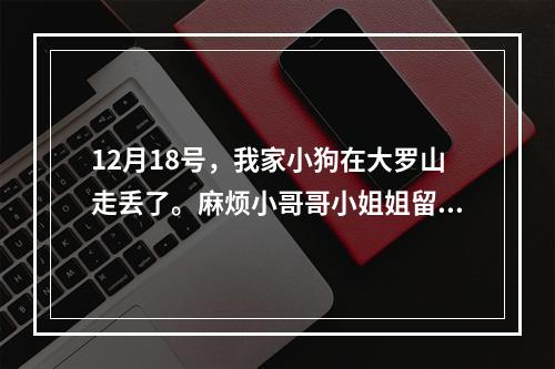 12月18号，我家小狗在大罗山走丢了。麻烦小哥哥小姐姐留意一下