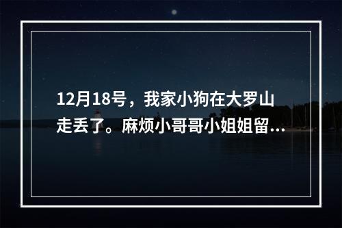 12月18号，我家小狗在大罗山走丢了。麻烦小哥哥小姐姐留意一下
