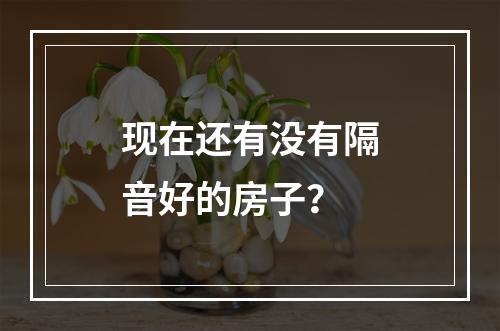 现在还有没有隔音好的房子？
