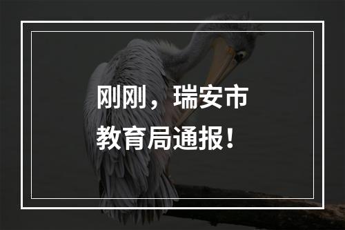 刚刚，瑞安市教育局通报！