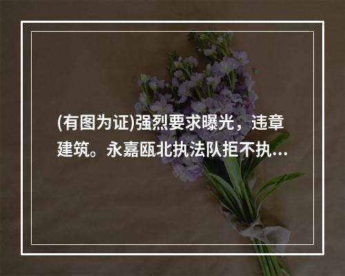 (有图为证)强烈要求曝光，违章建筑。永嘉瓯北执法队拒不执法。