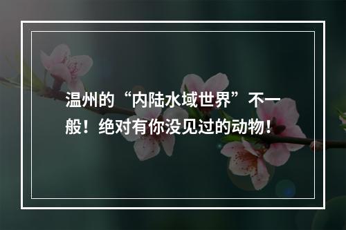 温州的“内陆水域世界”不一般！绝对有你没见过的动物！