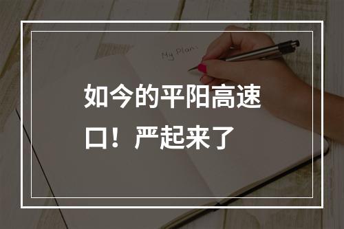 如今的平阳高速口！严起来了