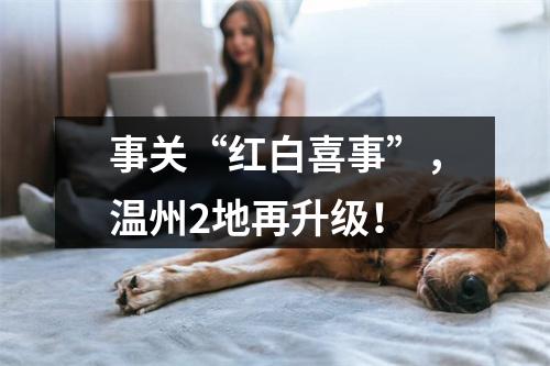 事关“红白喜事”，温州2地再升级！