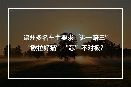 温州多名车主要求“退一赔三” “欧拉好猫”“芯”不对板？