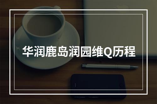 华润鹿岛润园维Q历程