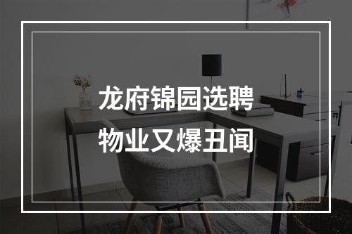 龙府锦园选聘物业又爆丑闻