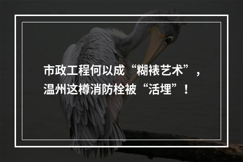 市政工程何以成“糊裱艺术”，温州这樽消防栓被“活埋”！