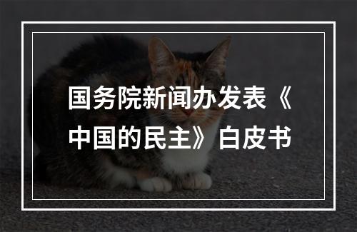国务院新闻办发表《中国的民主》白皮书