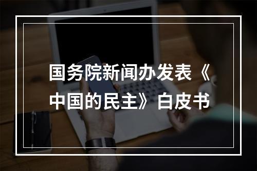 国务院新闻办发表《中国的民主》白皮书