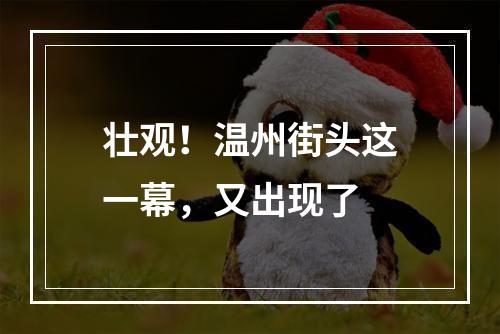 壮观！温州街头这一幕，又出现了