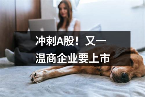 冲刺A股！又一温商企业要上市