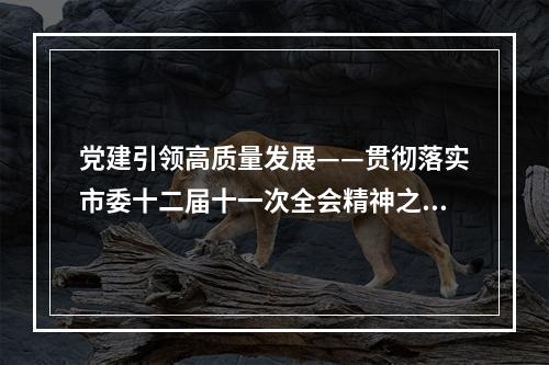 党建引领高质量发展——贯彻落实市委十二届十一次全会精神之七