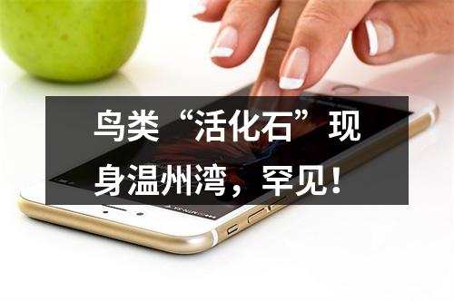 鸟类“活化石”现身温州湾，罕见！