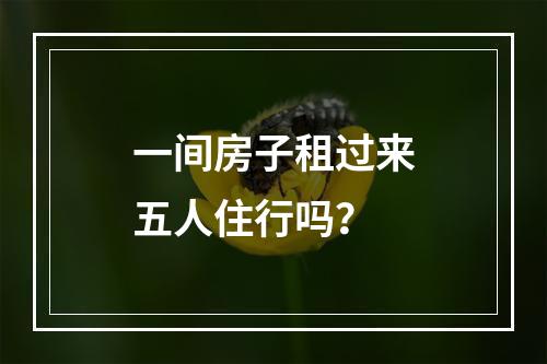 一间房子租过来五人住行吗？