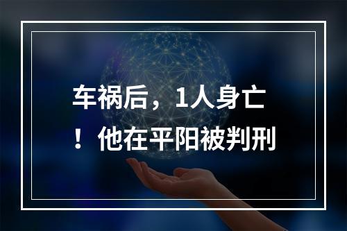 车祸后，1人身亡！他在平阳被判刑