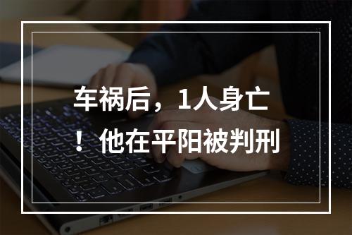 车祸后，1人身亡！他在平阳被判刑