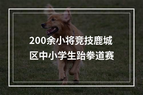 200余小将竞技鹿城区中小学生跆拳道赛