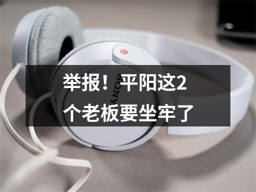 举报！平阳这2个老板要坐牢了