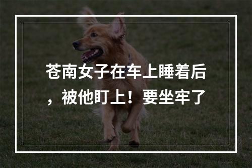 苍南女子在车上睡着后，被他盯上！要坐牢了