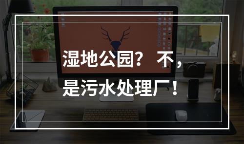 湿地公园？ 不，是污水处理厂！