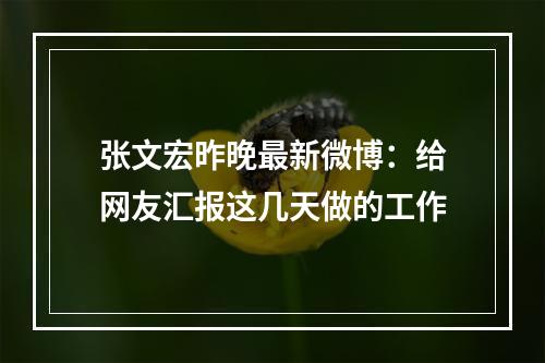 张文宏昨晚最新微博：给网友汇报这几天做的工作