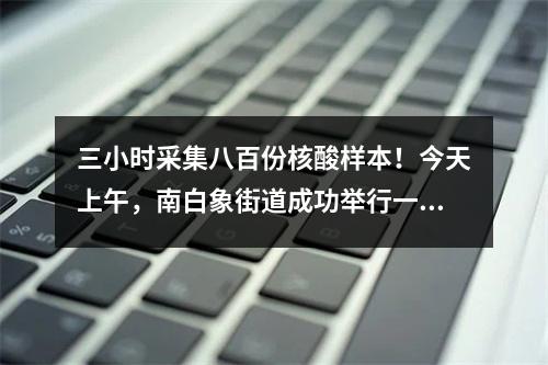 三小时采集八百份核酸样本！今天上午，南白象街道成功举行一场大规模全员核酸检测...