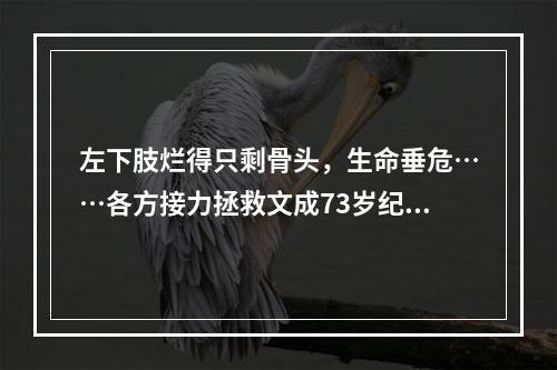 左下肢烂得只剩骨头，生命垂危……各方接力拯救文成73岁纪阿公