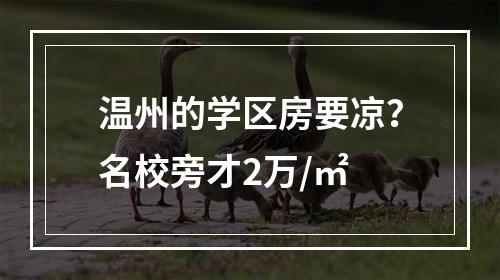 温州的学区房要凉？名校旁才2万/㎡