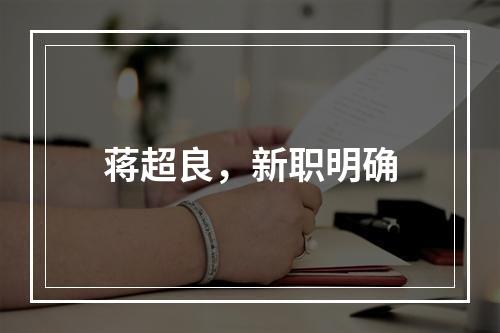 蒋超良，新职明确