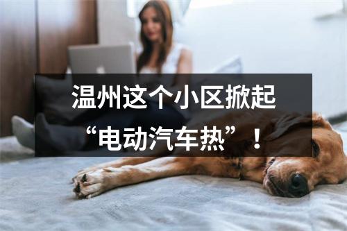 温州这个小区掀起“电动汽车热”！