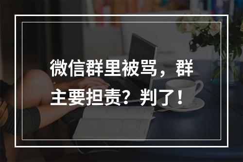 微信群里被骂，群主要担责？判了！
