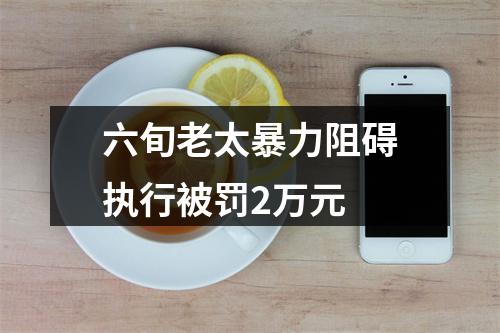 六旬老太暴力阻碍执行被罚2万元