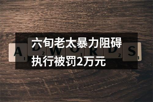 六旬老太暴力阻碍执行被罚2万元