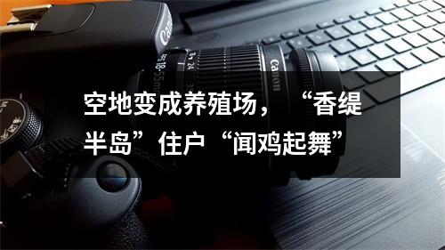 空地变成养殖场， “香缇半岛”住户“闻鸡起舞”