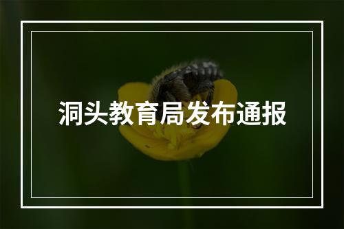 洞头教育局发布通报