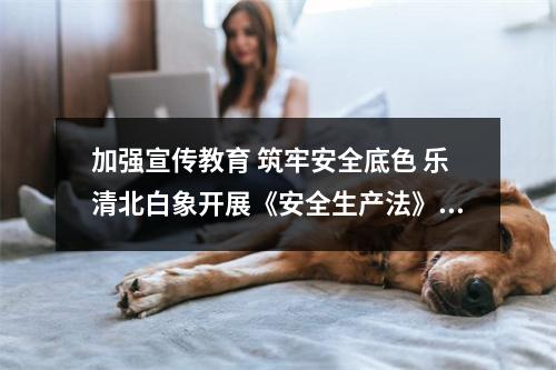 加强宣传教育 筑牢安全底色 乐清北白象开展《安全生产法》宣传普及活动