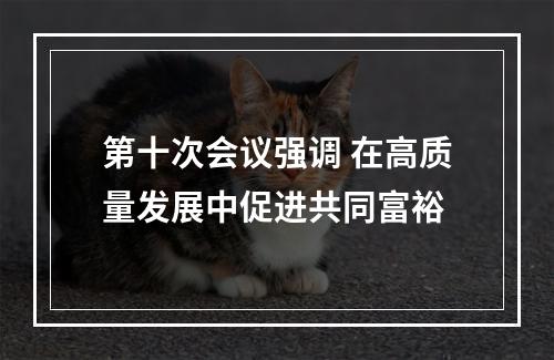 第十次会议强调 在高质量发展中促进共同富裕