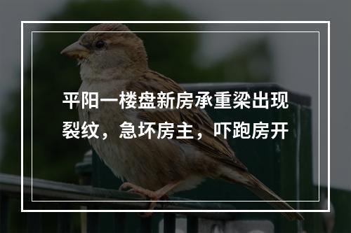 平阳一楼盘新房承重梁出现裂纹，急坏房主，吓跑房开