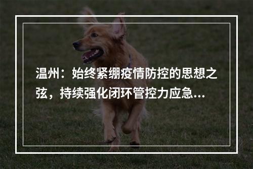 温州：始终紧绷疫情防控的思想之弦，持续强化闭环管控力应急处置力