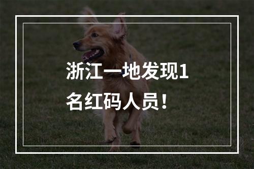 浙江一地发现1名红码人员！